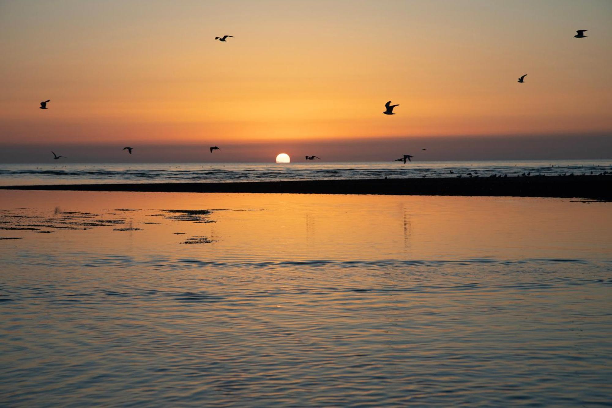 Norfolk Accommodation Heacham Luaran gambar