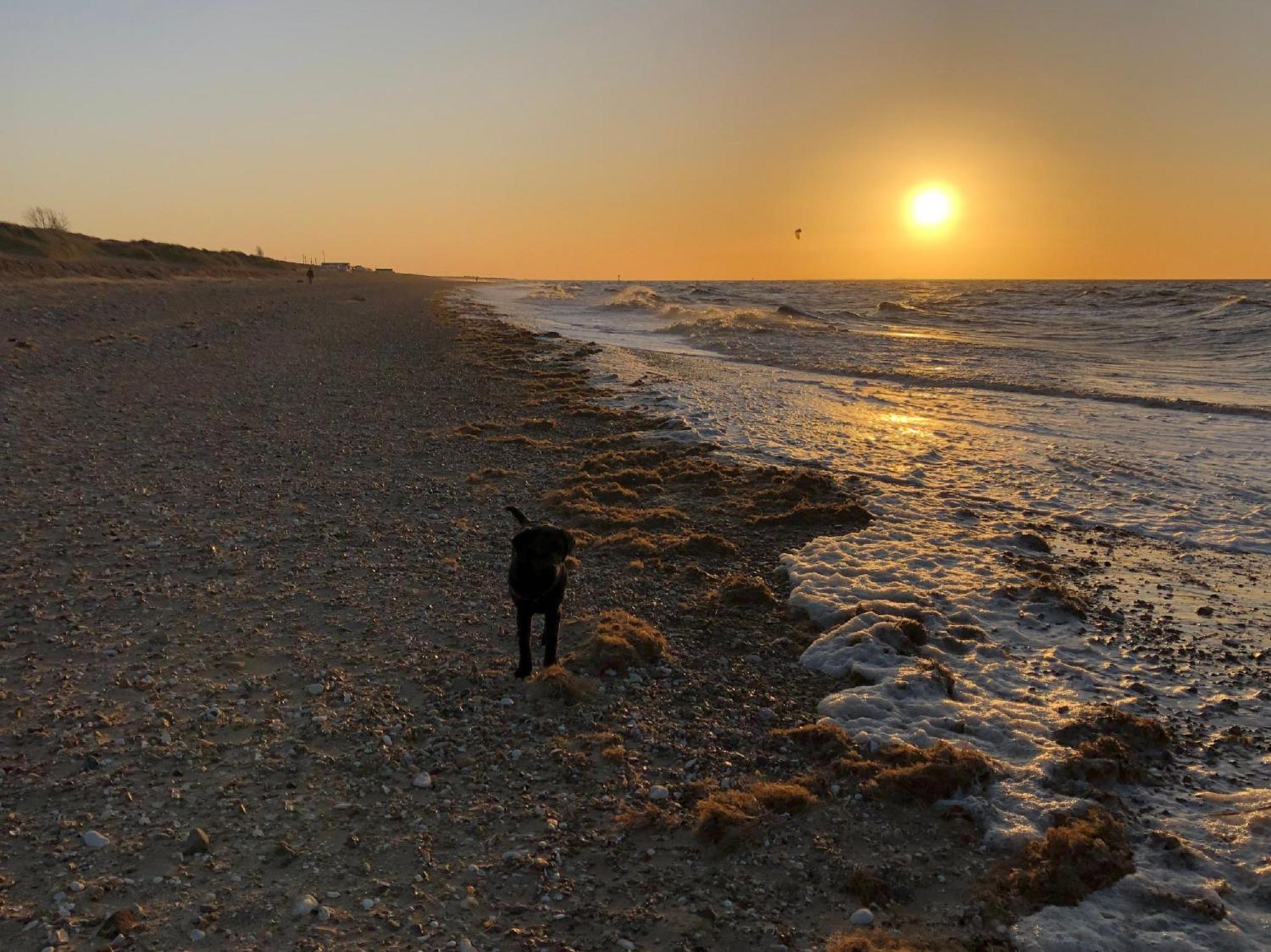 Norfolk Accommodation Heacham Luaran gambar